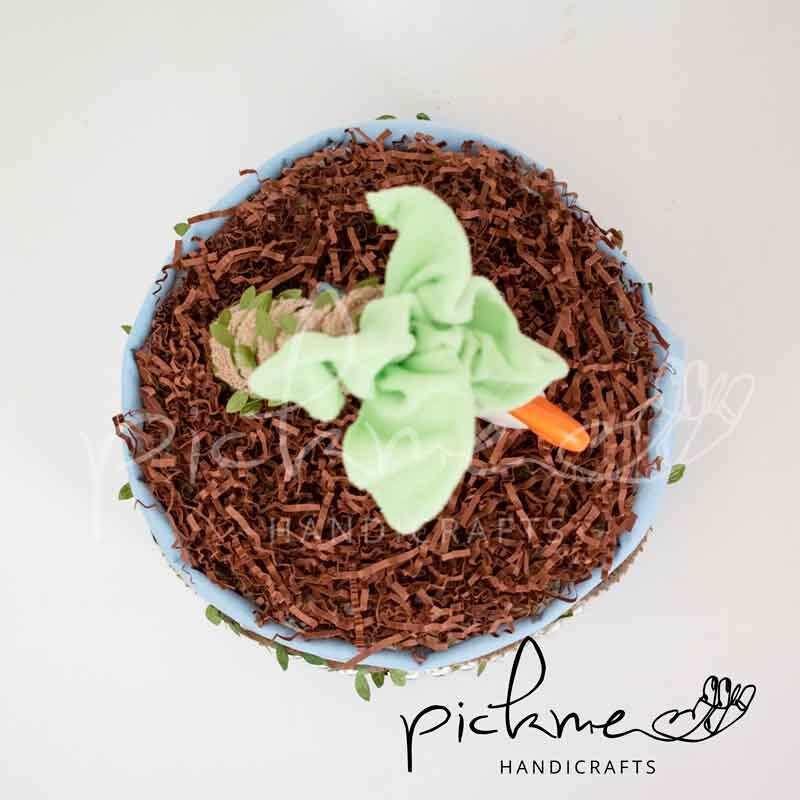diapercake τουρτοπάνα για αγόρι θέμα κοάλα από πάνω